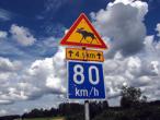 k%20fin%20elchschild.jpg